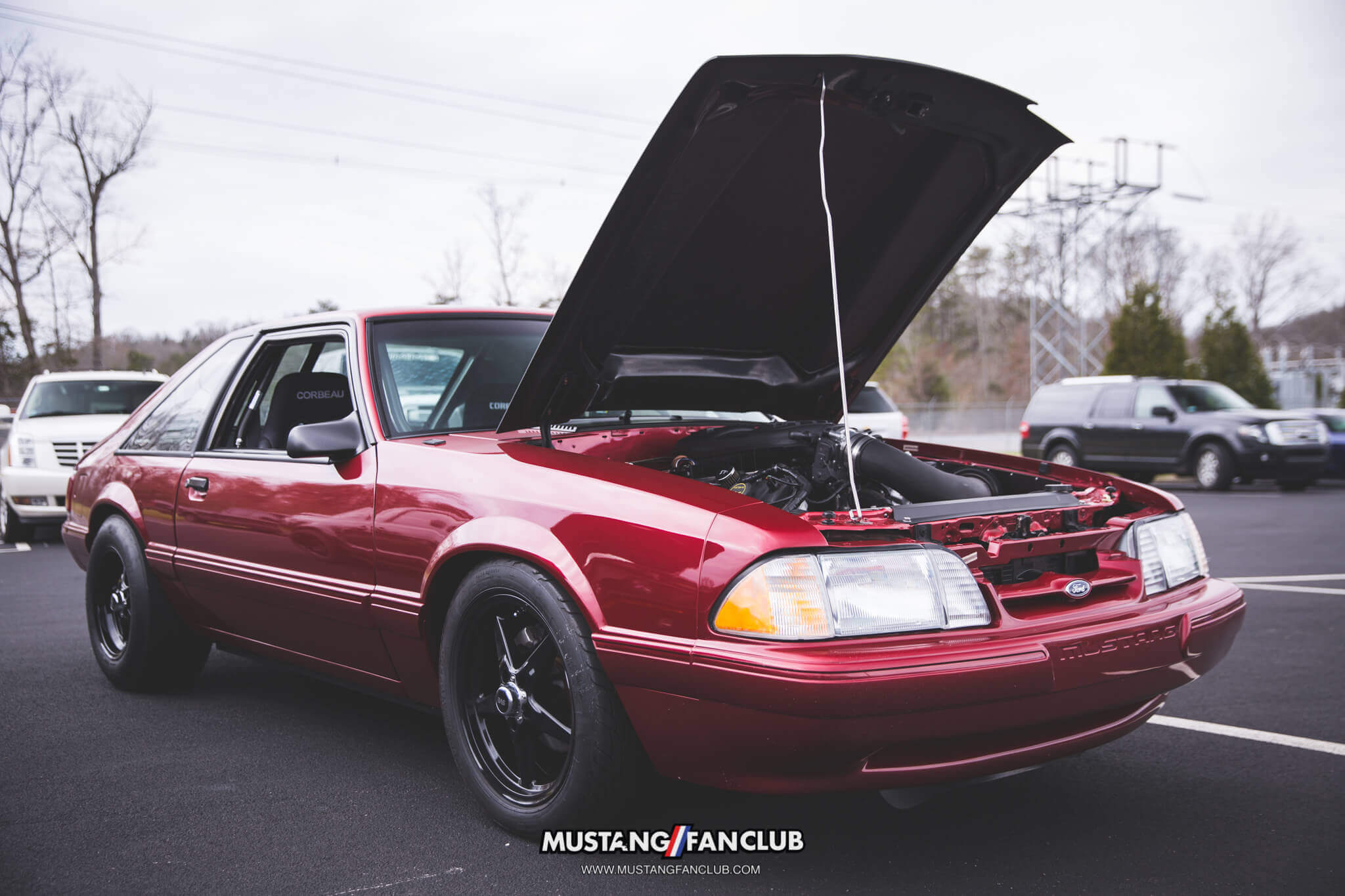 IMG_2506 ponies in the smokies 2018 foxbody