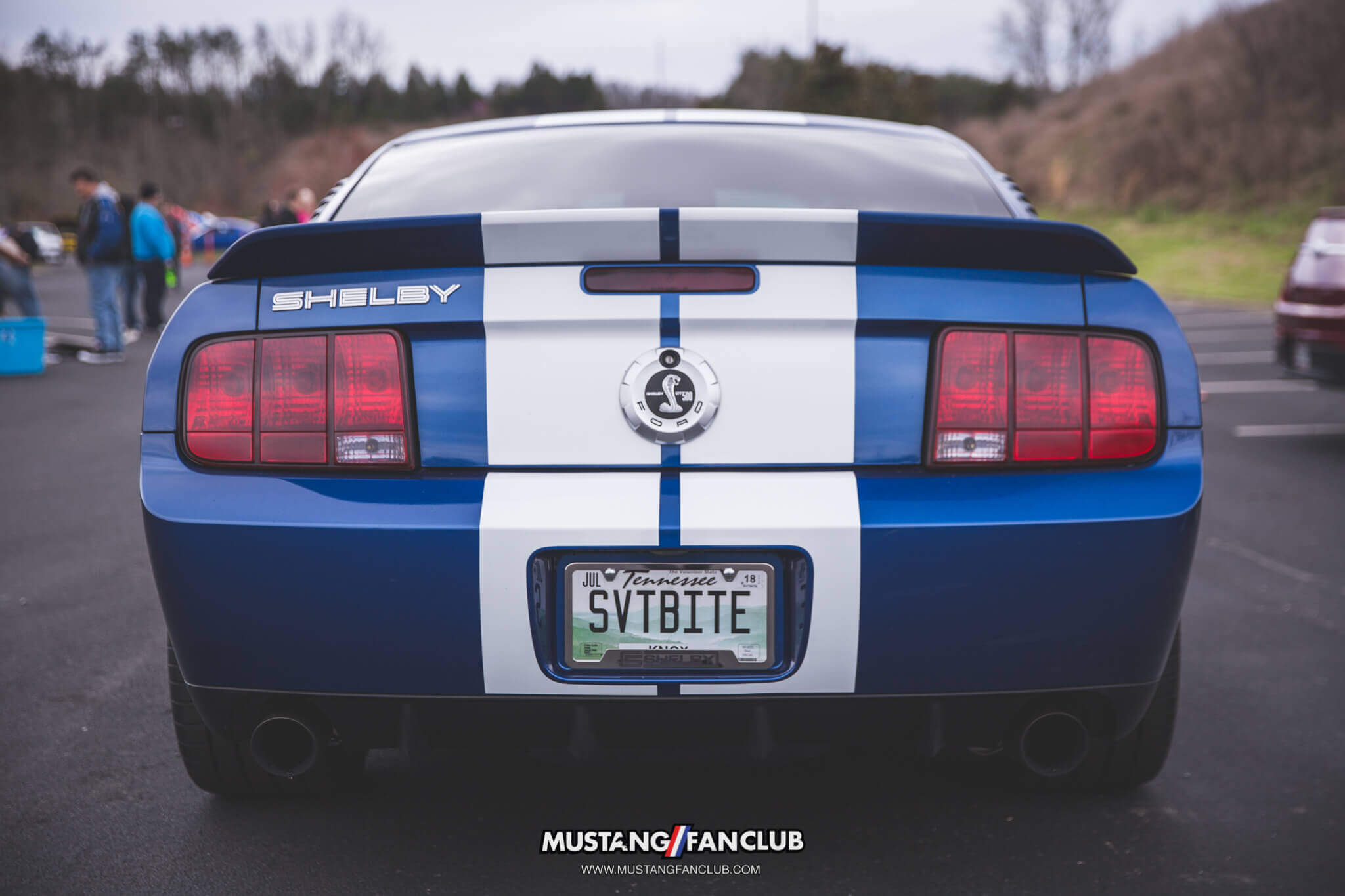 IMG_2513 ponies in the smokies 2018 gt500