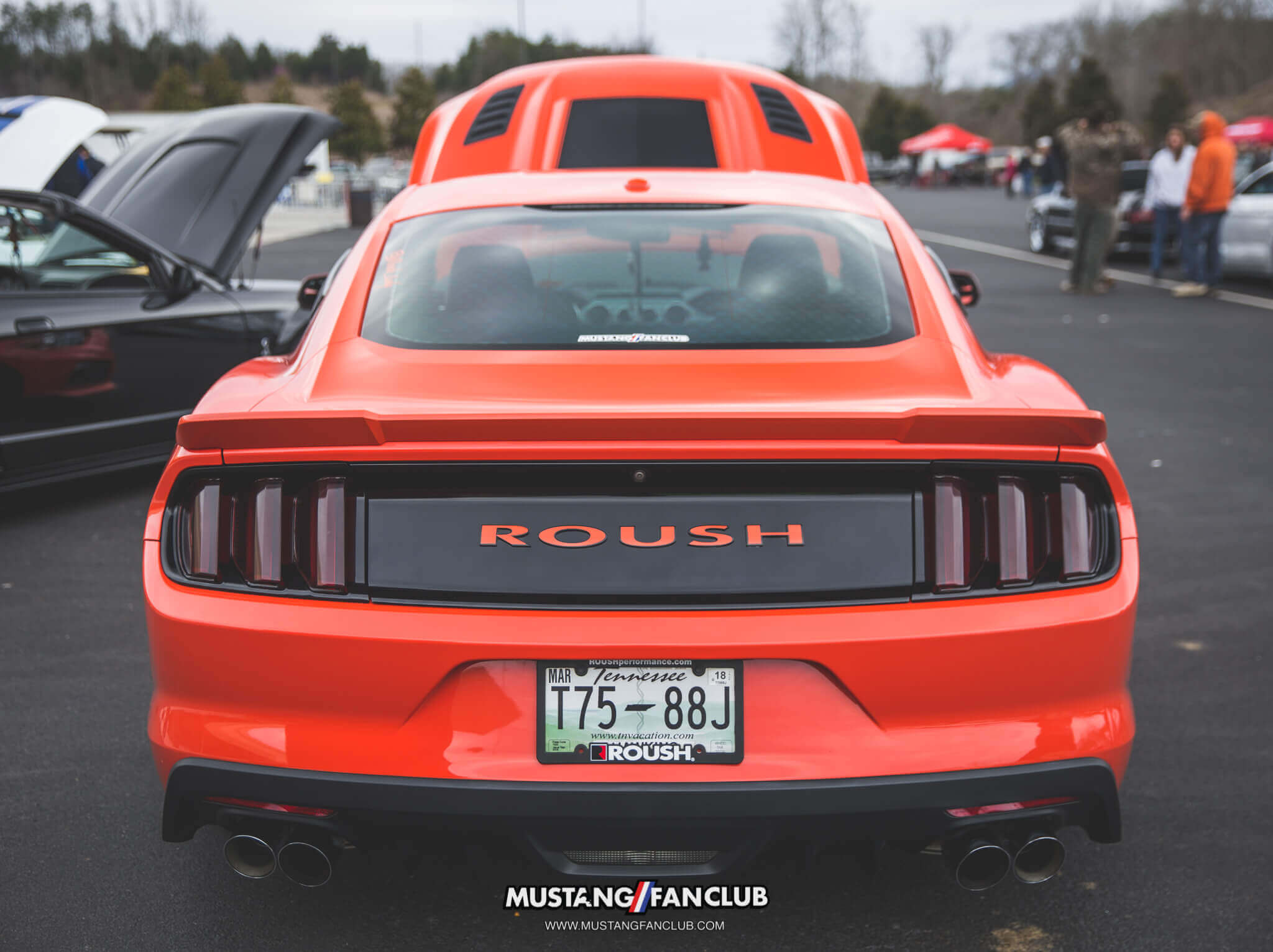 IMG_2534 ponies in the smokies 2018 roush