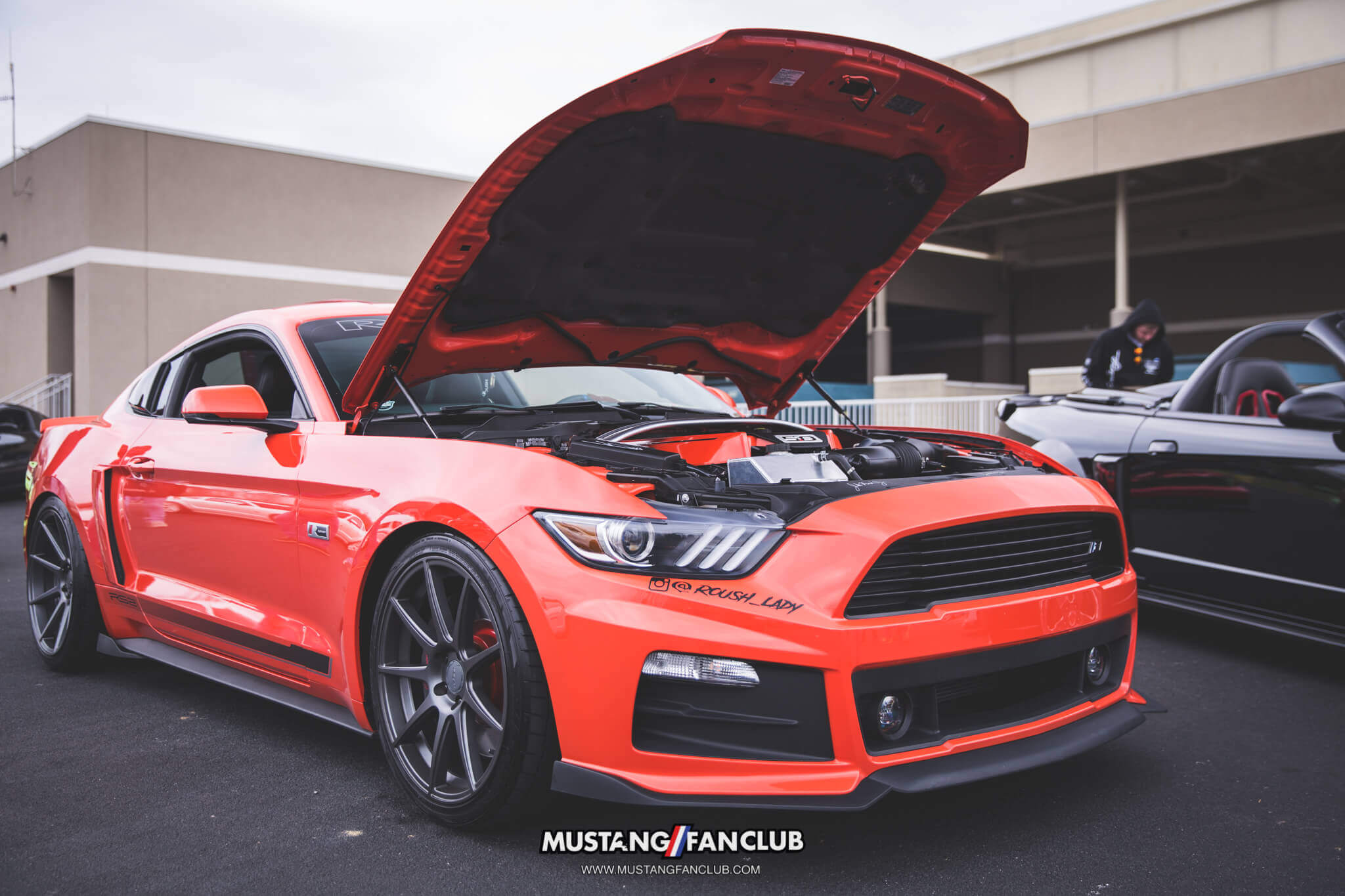 IMG_2545 ponies in the smokies 2018 roush