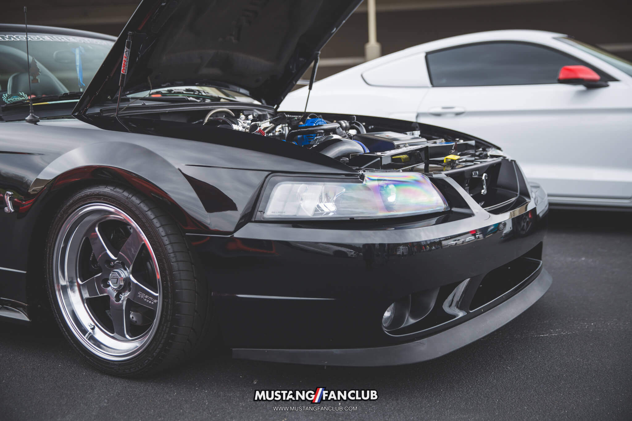 IMG_2548 ponies in the smokies 2018 cobra