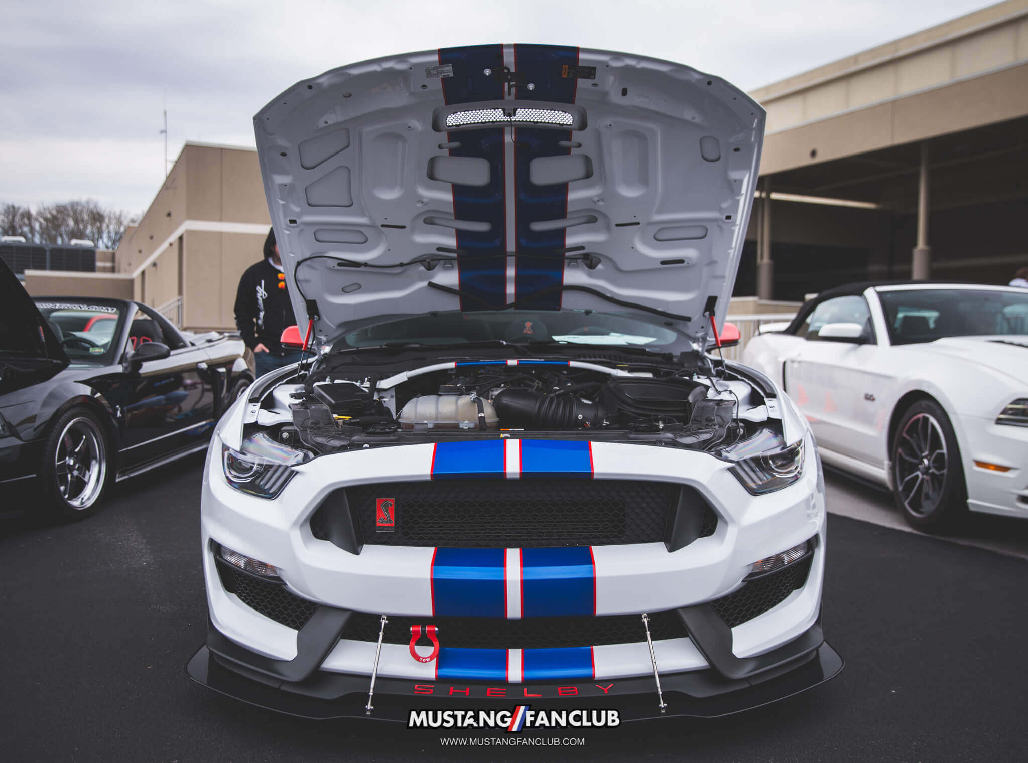 IMG_2551 ponies in the smokies 2018 gt350r