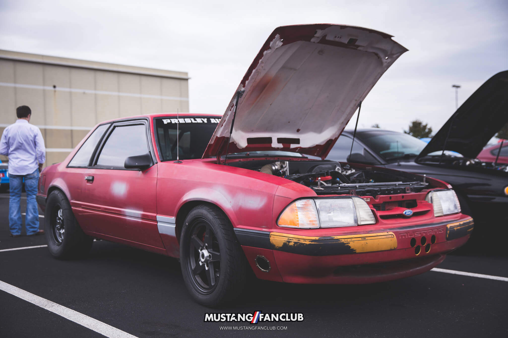 IMG_2566 ponies in the smokies 2018 fastback
