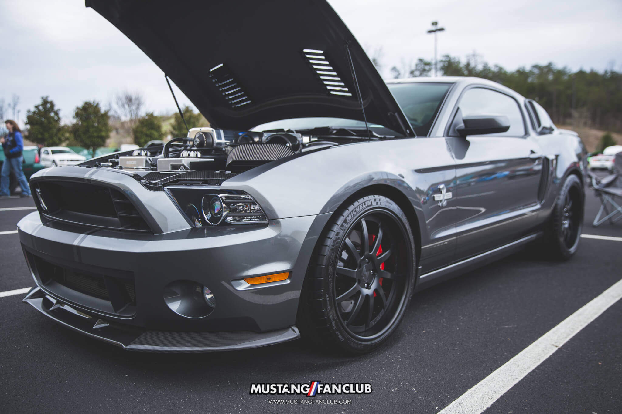 IMG_2576 ponies in the smokies 2018 gt500 super snake