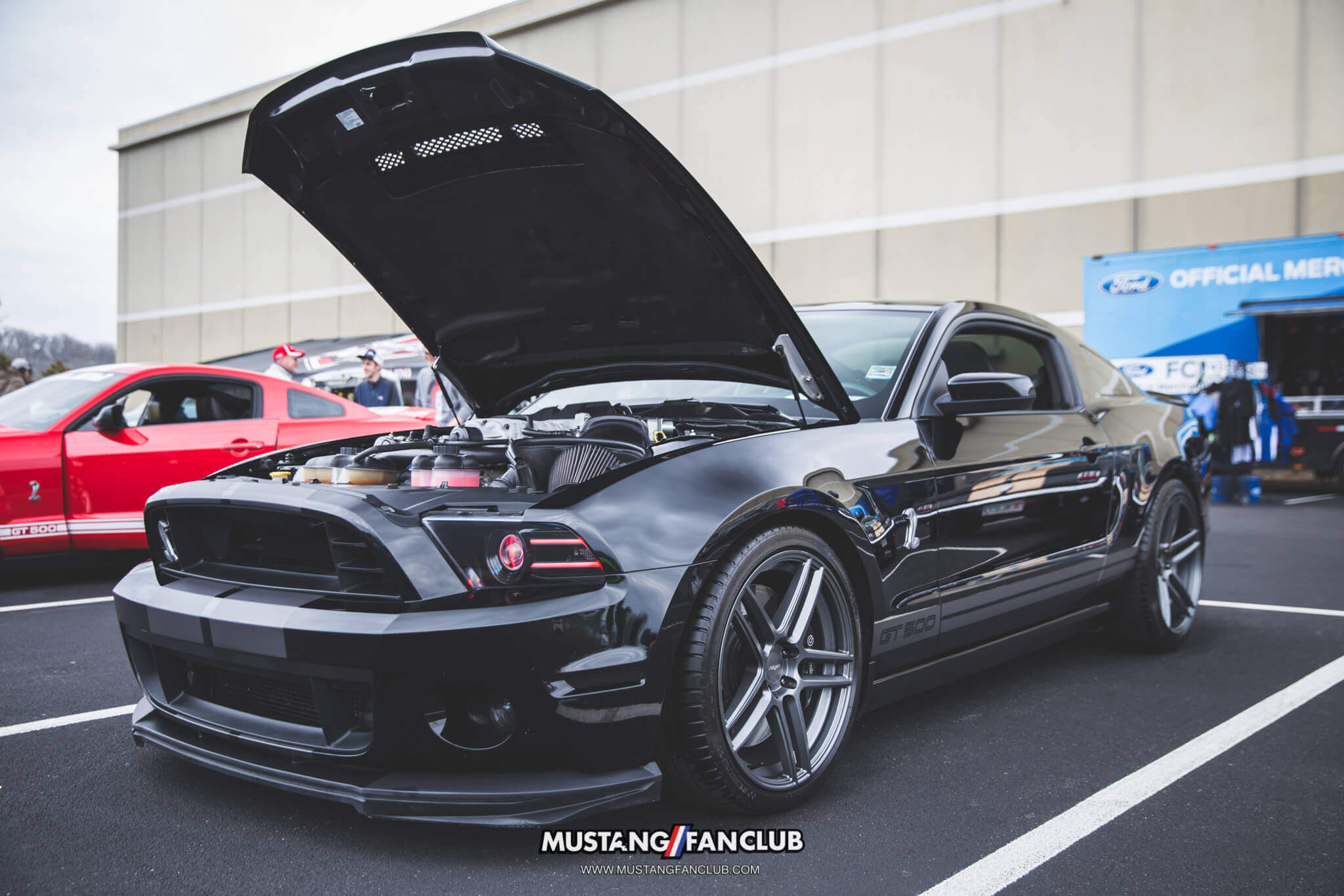 IMG_2578 ponies in the smokies 2018 gt500