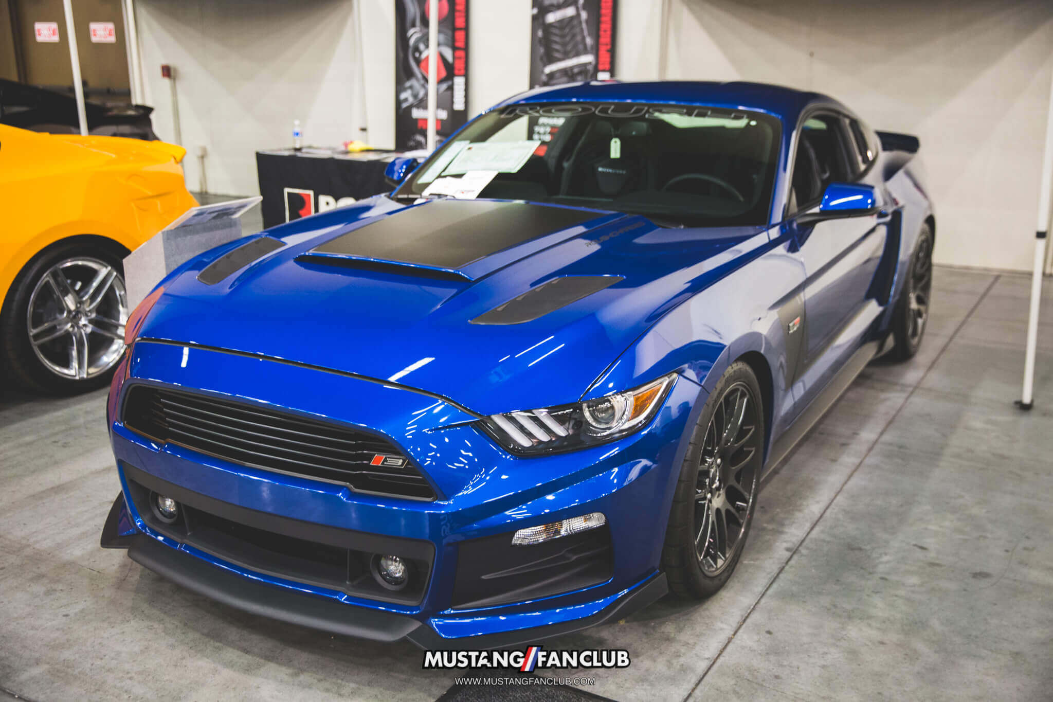 IMG_2588 ponies in the smokies 2018 trp roush