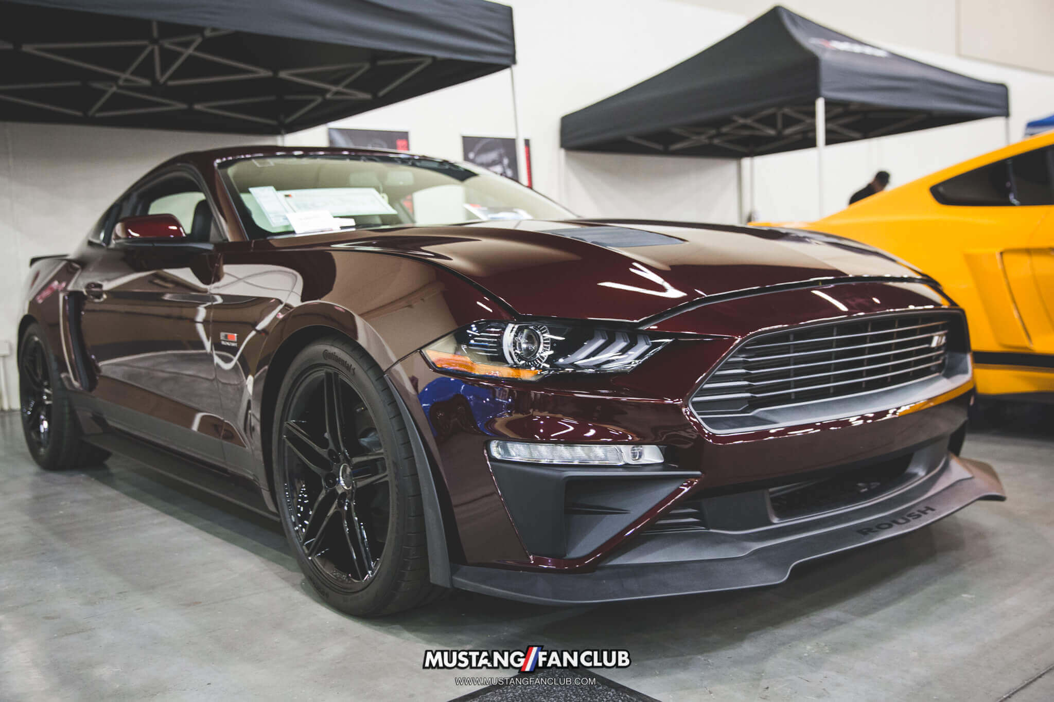 IMG_2593 ponies in the smokies 2018 trp roush
