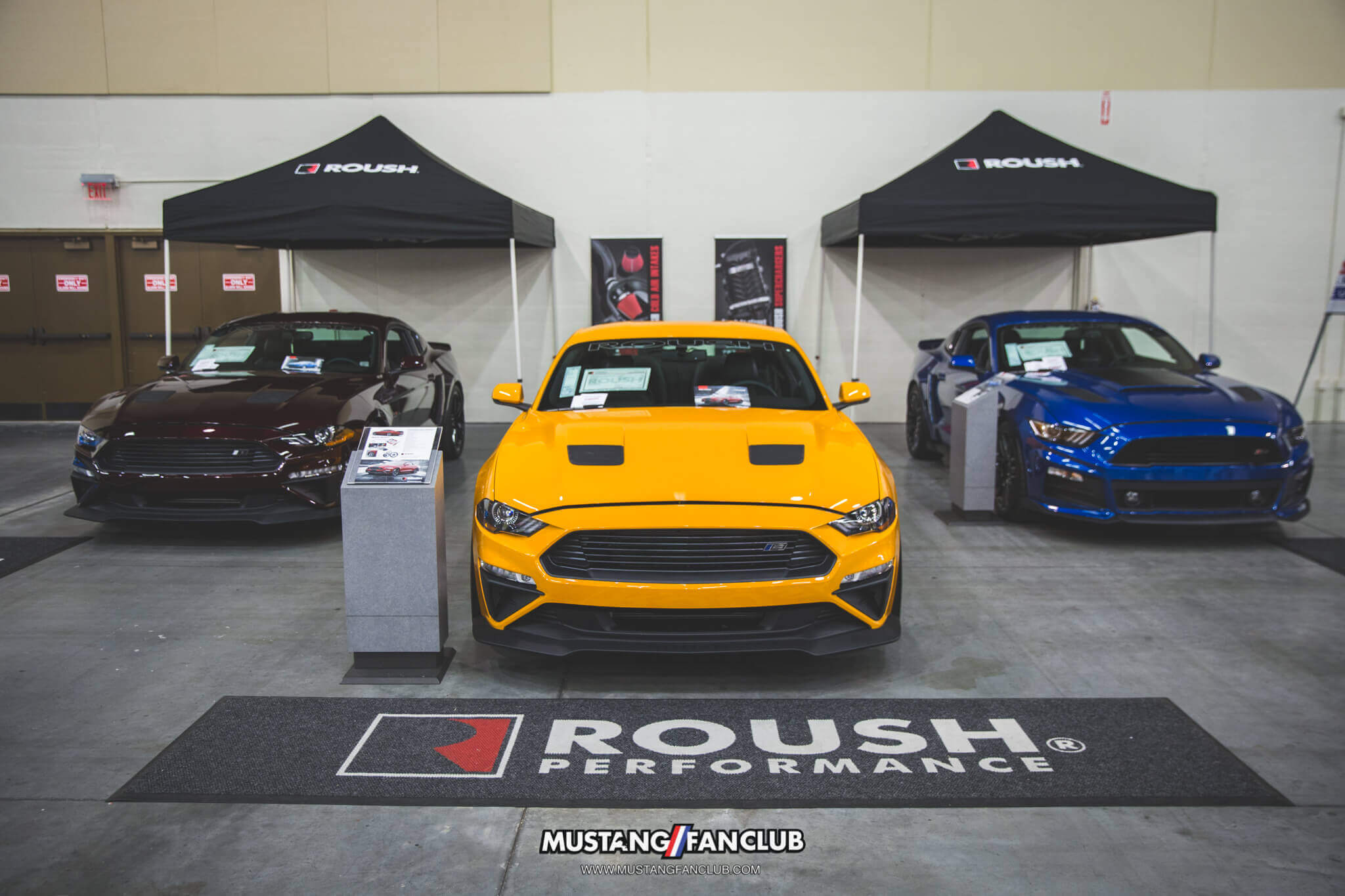 IMG_2600 ponies in the smokies 2018 trp roush