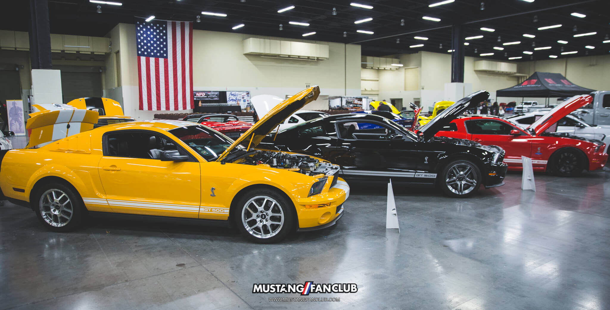 IMG_2609 ponies in the smokies 2018 gt500