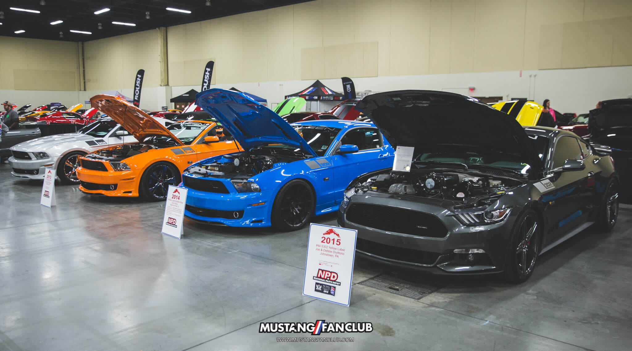 IMG_2611 ponies in the smokies 2018 saleen