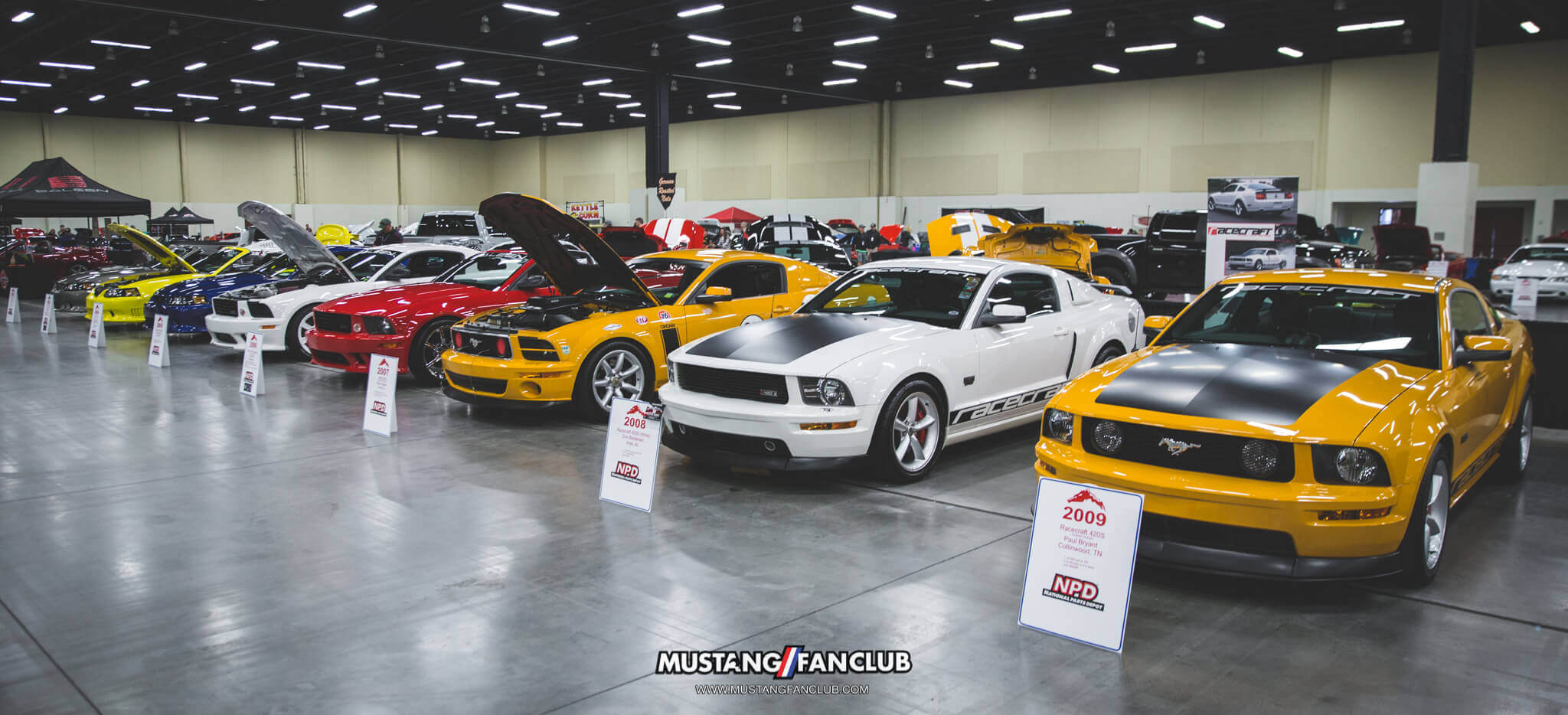 IMG_2613 ponies in the smokies 2018 saleen