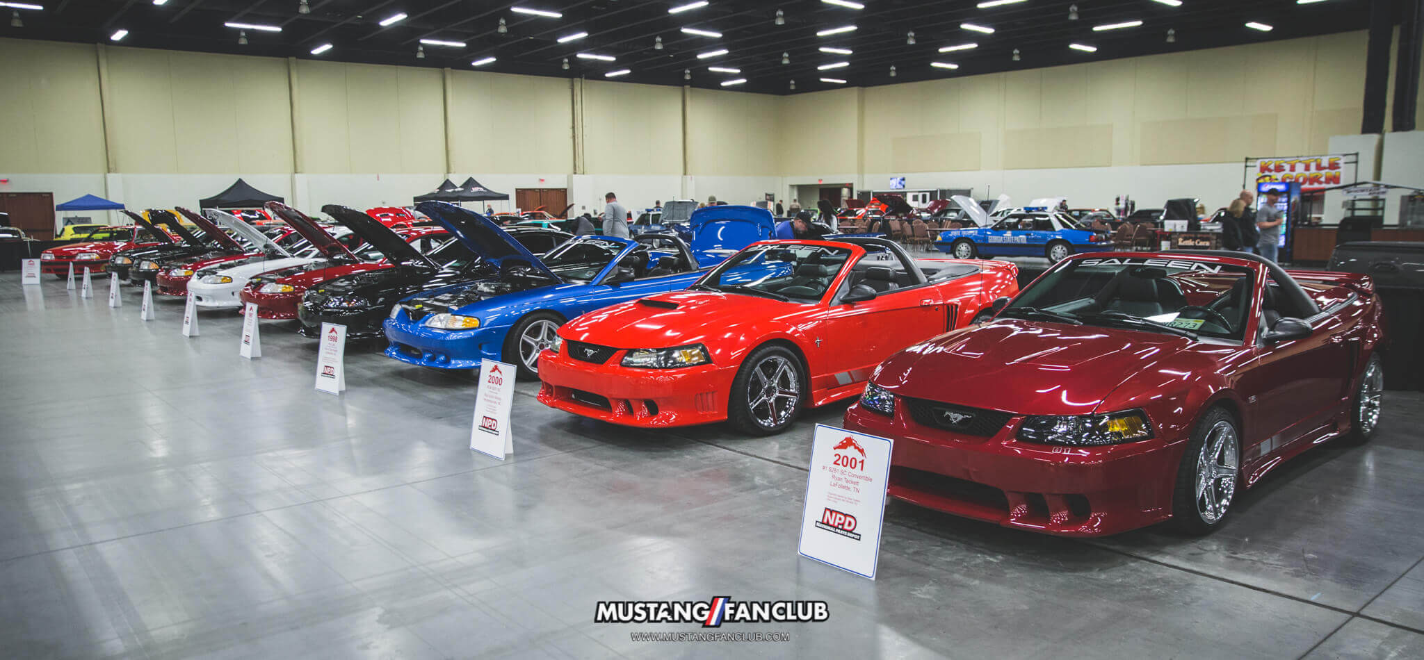 IMG_2616 ponies in the smokies 2018 saleen
