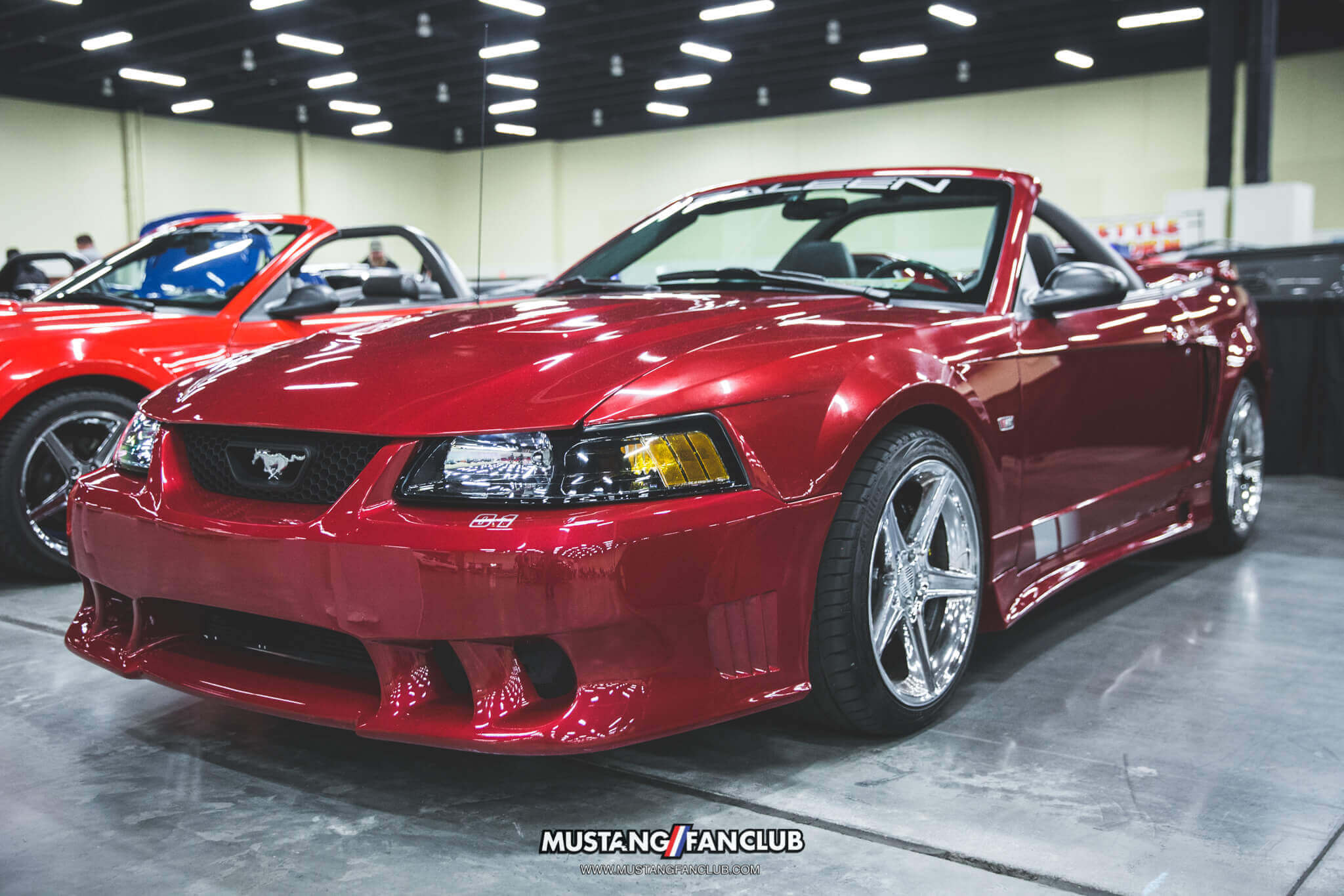 IMG_2618 ponies in the smokies 2018 new edge saleen