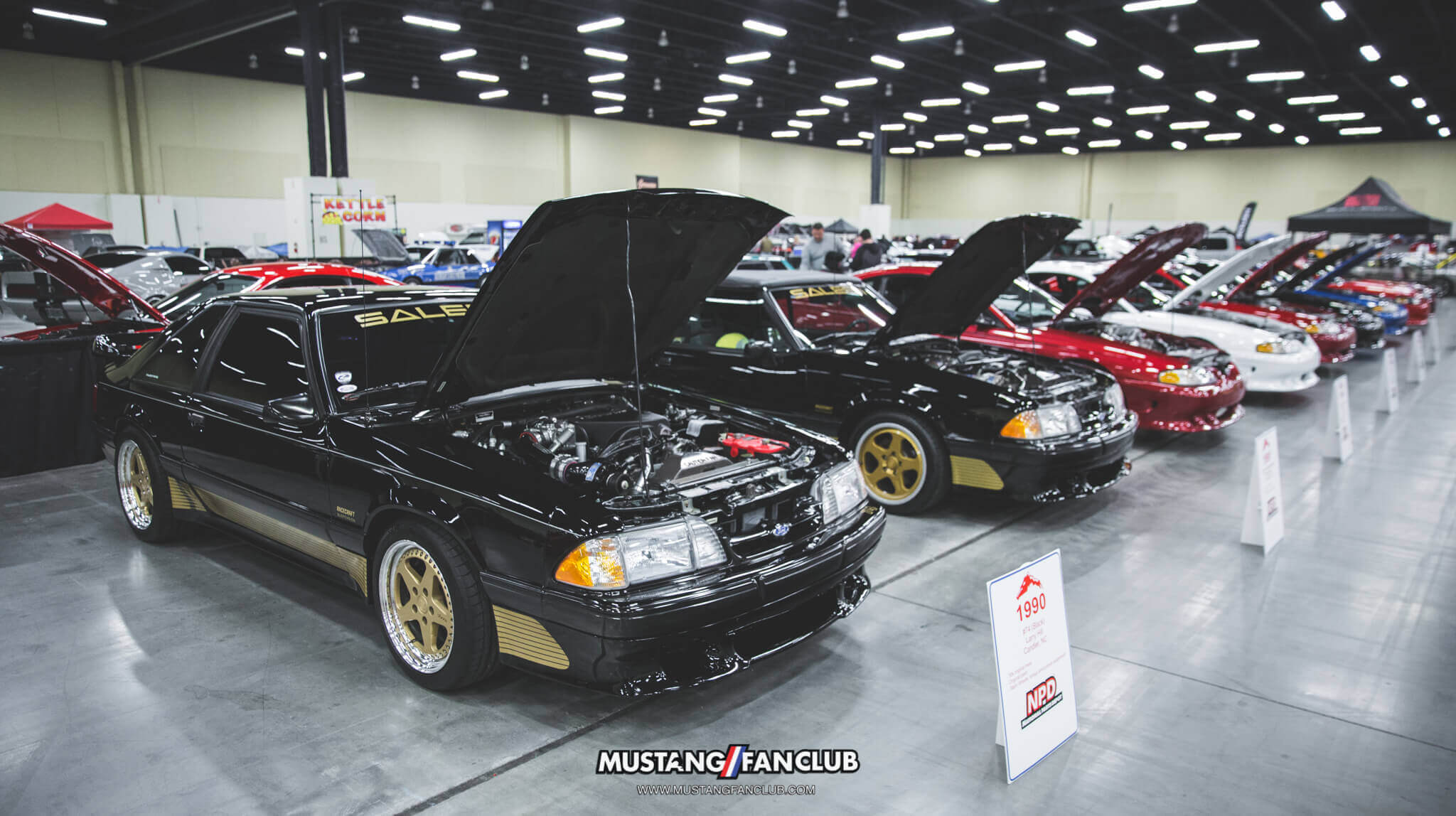 IMG_2621 ponies in the smokies 2018 foxbody saleen