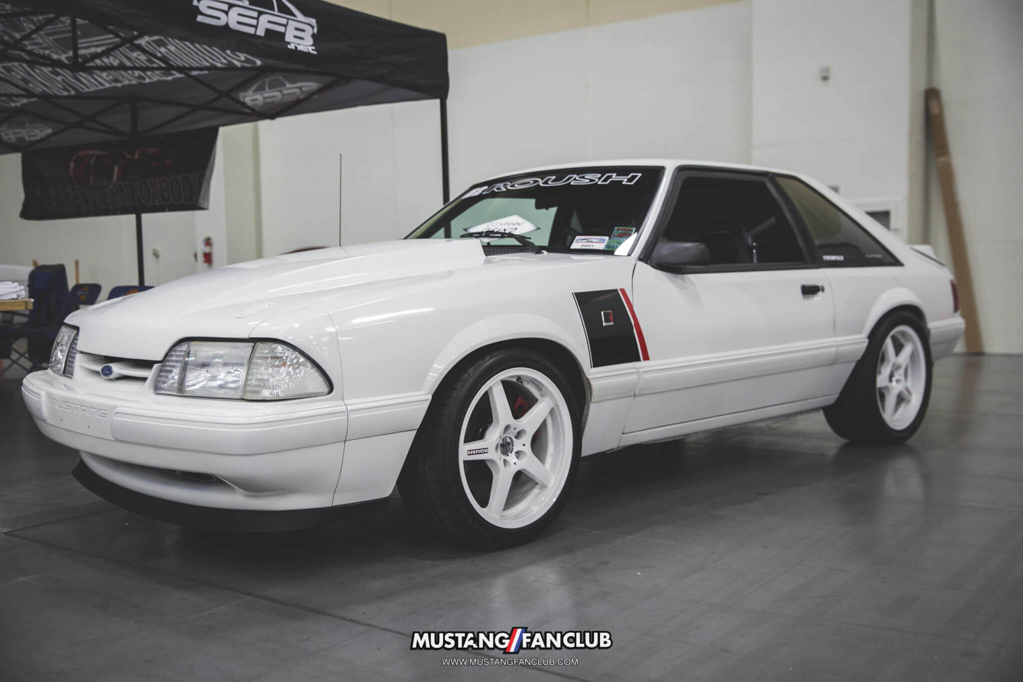 IMG_2629 ponies in the smokies 2018 foxbody