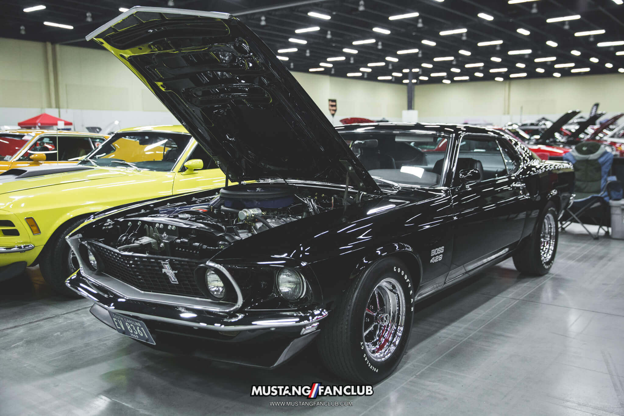 IMG_2635 ponies in the smokies 2018 boss 429