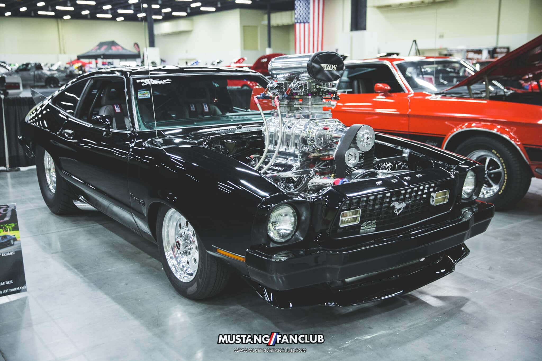 IMG_2637 ponies in the smokies 2018 mustang ii