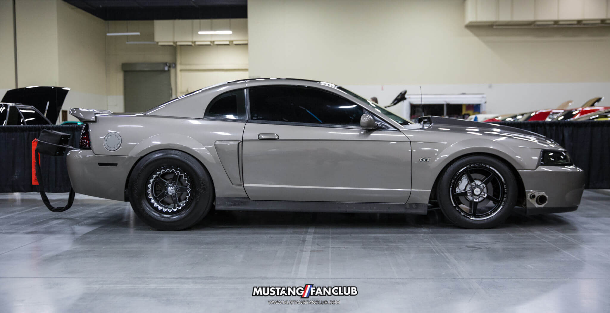 IMG_2685 ponies in the smokies 2018 cobra