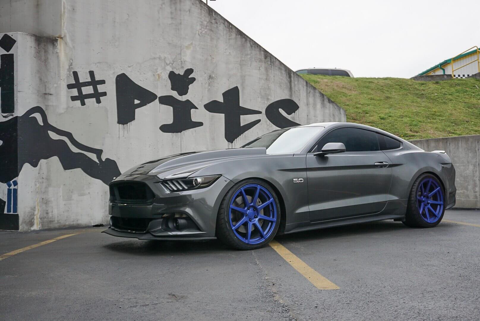 ponies in the smokies 2018