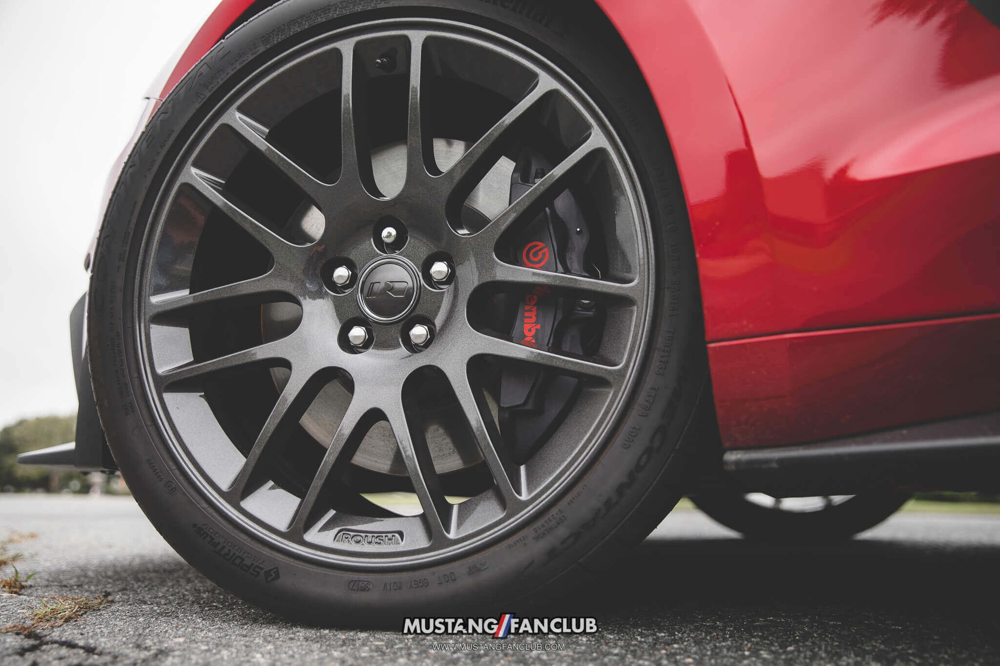 ROUSH Palladium wheels