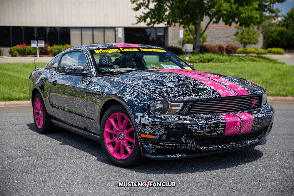 cancer awareness Mustang