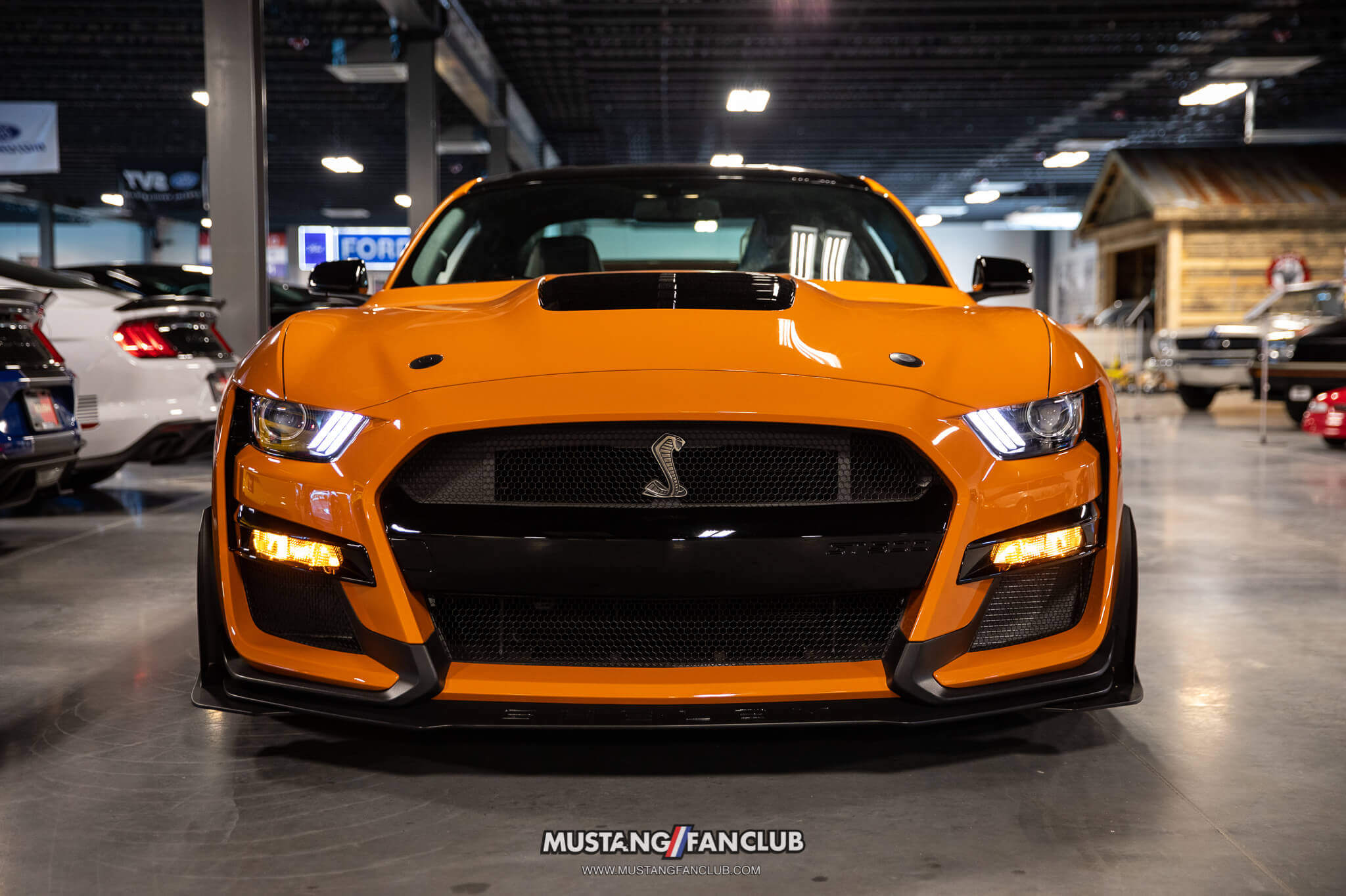 2020 mustang color options Twister Orange Shelby GT500