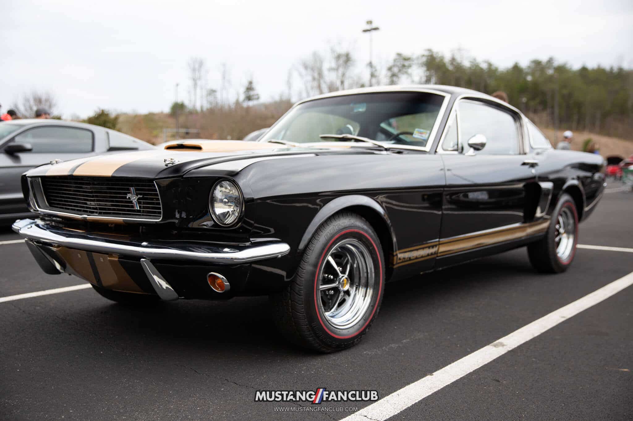 1966 Shelby GT350H