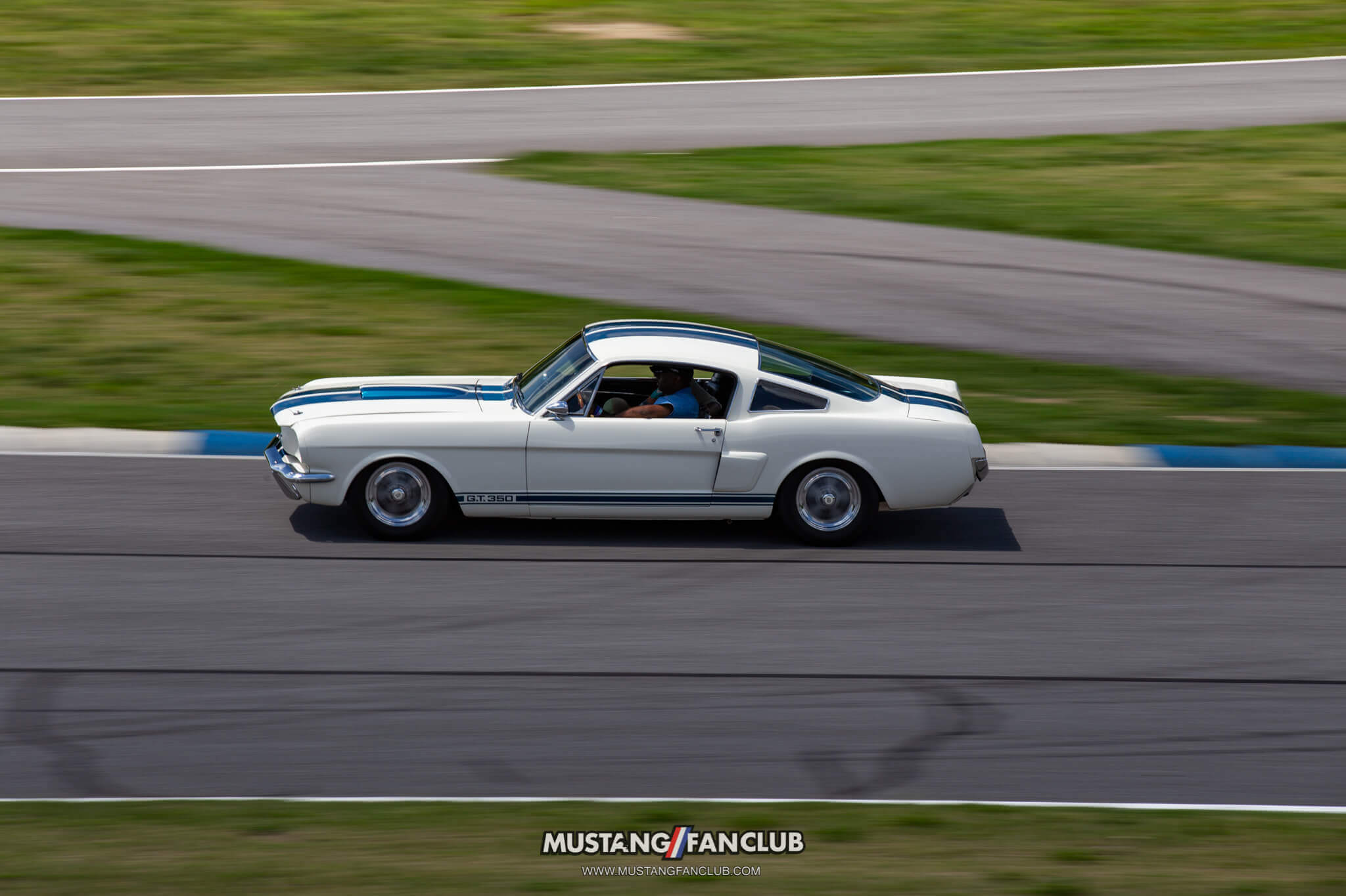 1966 Shelby GT350