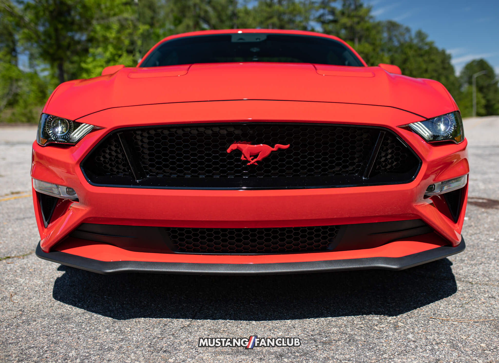 race red mustang emblem