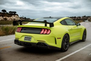 Peregrine Revenge GT