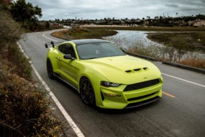 Peregrine Revenge GT