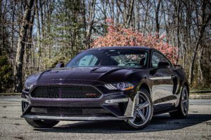 Mischievous Purple Mustang