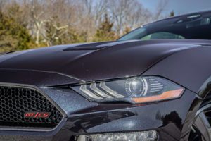 Mischievous Purple Mustang