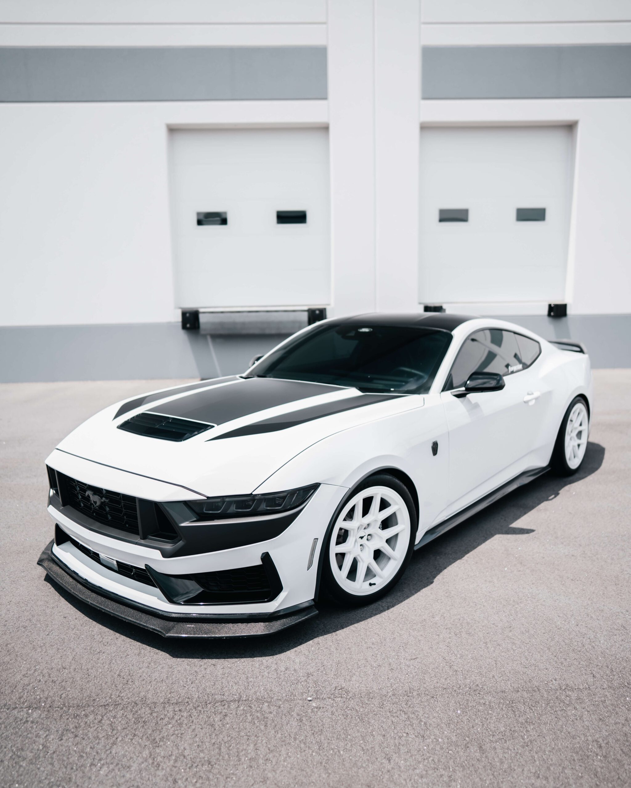 Oxford White Dark Horse