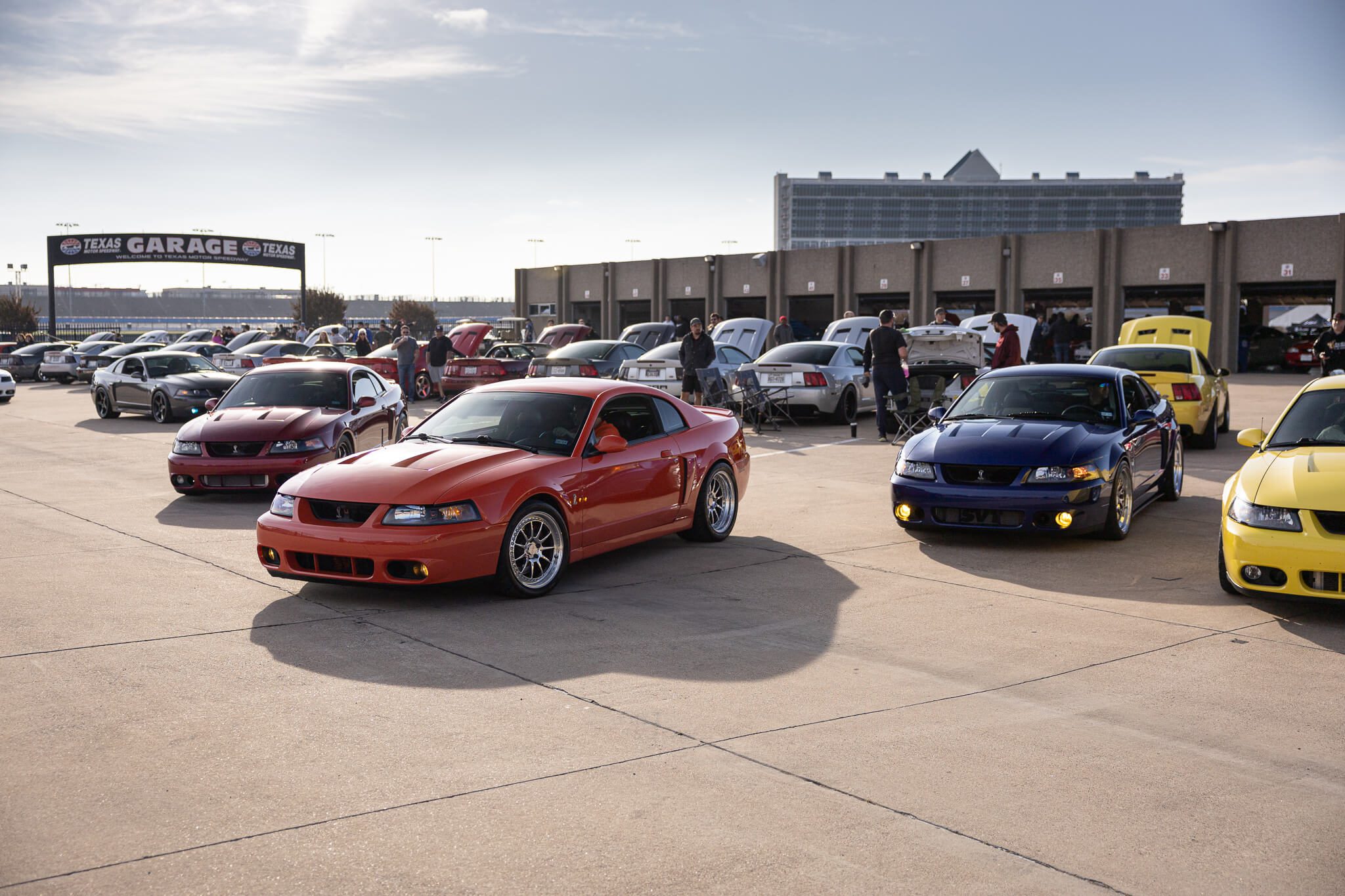 2003-2004 Cobra Exterior Color Options