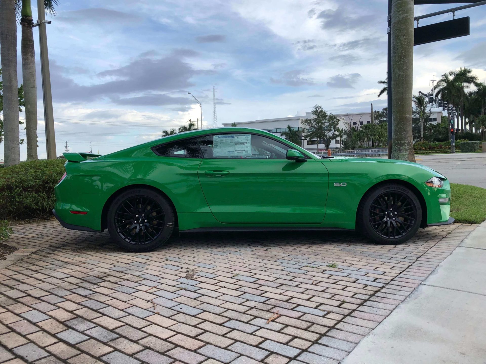 IMG_9236 2019 Mustang GT Need for Green