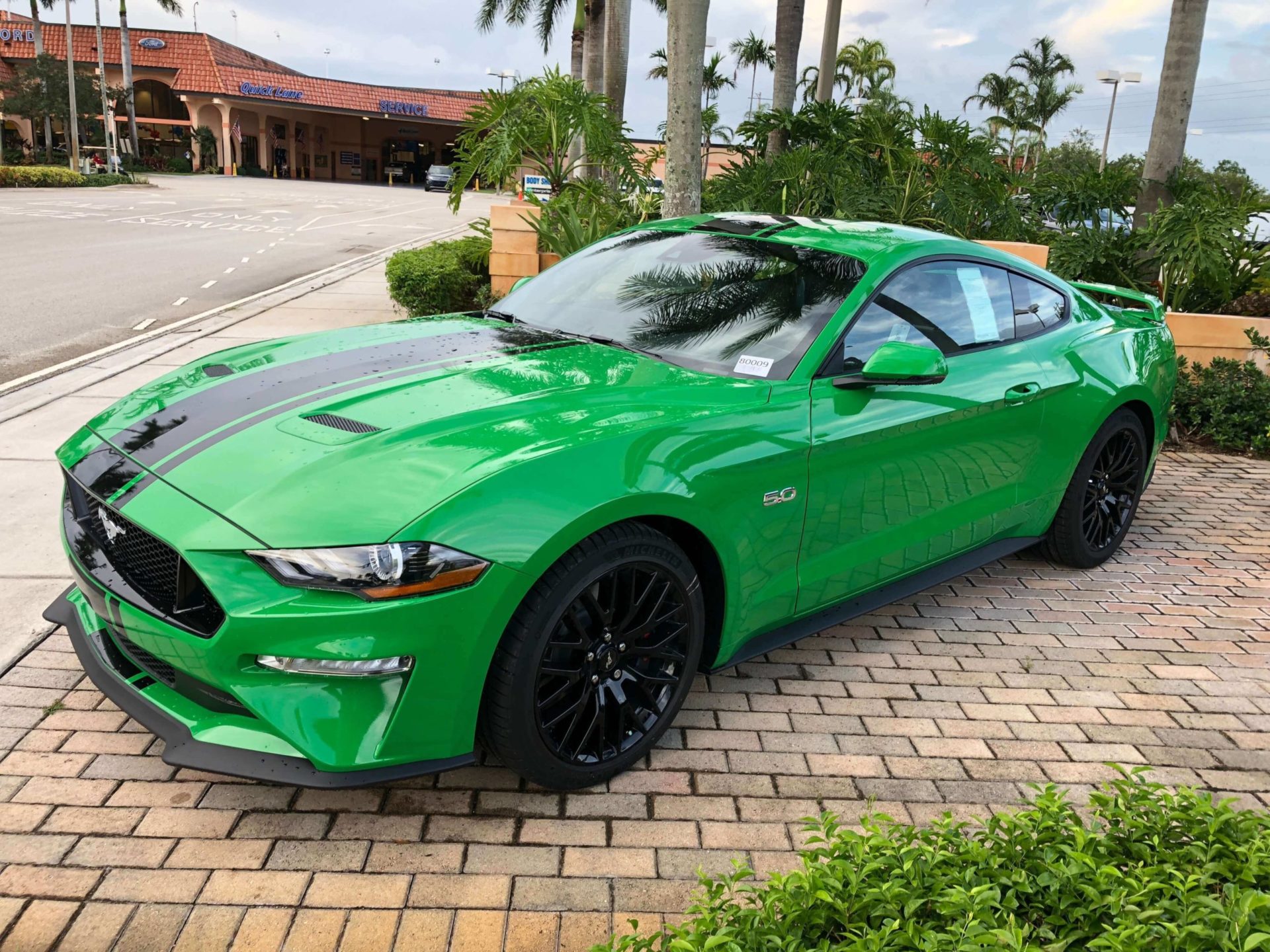 2019 Mustang GT Need for Green