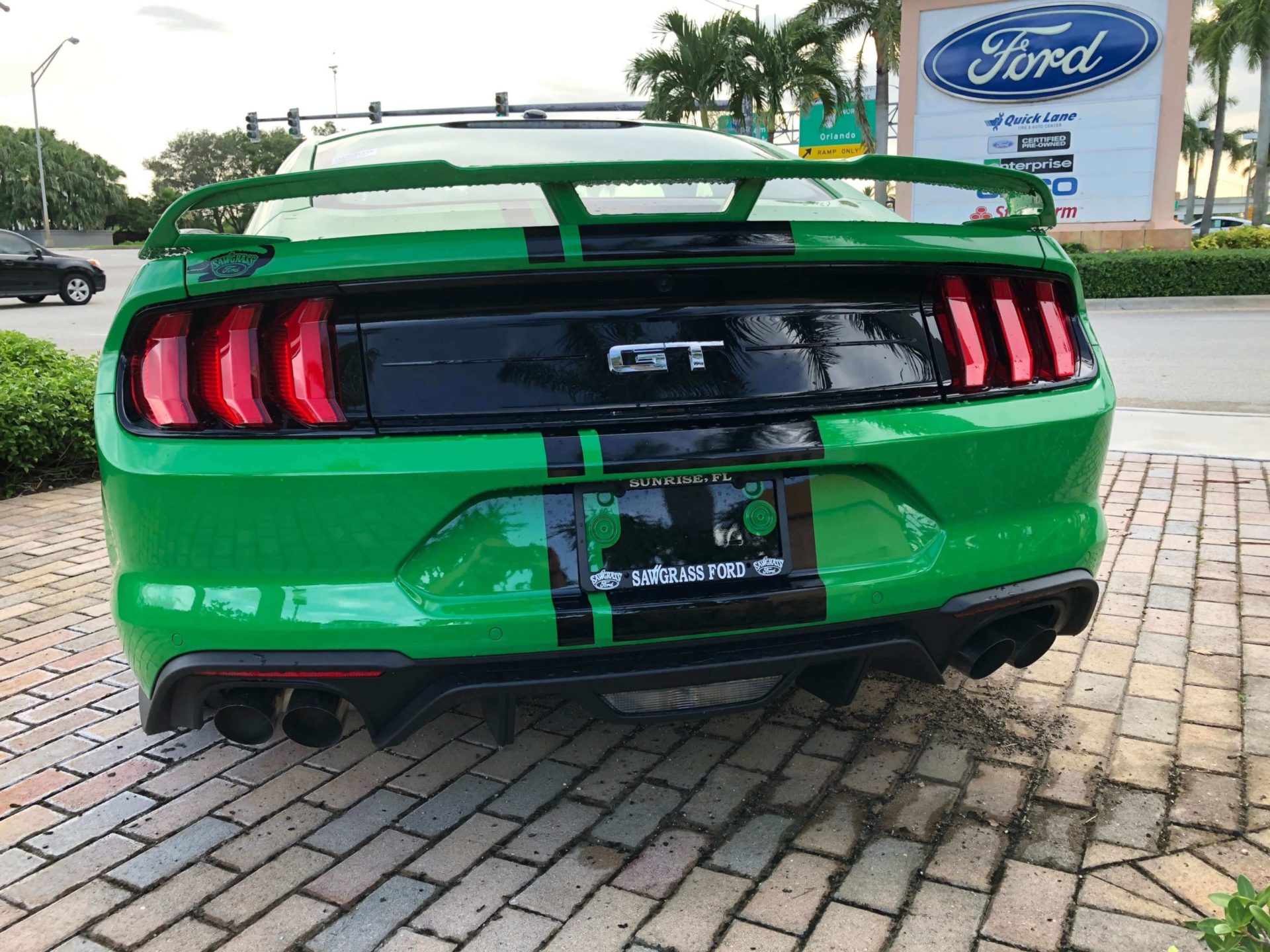 IMG_9244 2019 Mustang GT Need for Green