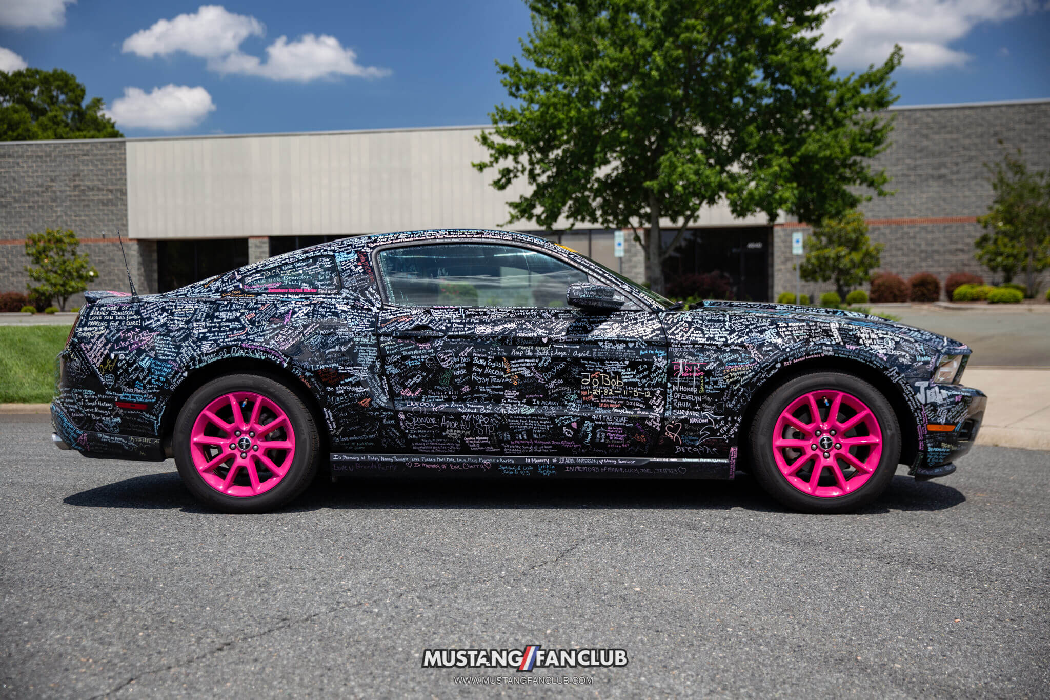 cancer awareness Mustang